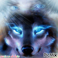 anima di lupo - GIF animado gratis