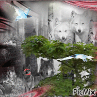 loups - GIF animado grátis