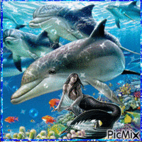 Sirène, dauphins - Gratis geanimeerde GIF