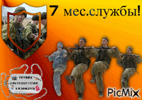 7месяцев3 - Bezmaksas animēts GIF