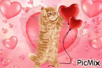 chat avec coeur GIF animé