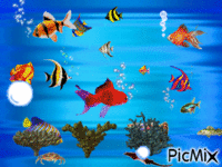 poisson Animated GIF