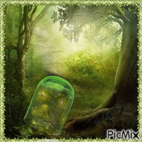 Glühwürmchen im Glas - GIF เคลื่อนไหวฟรี
