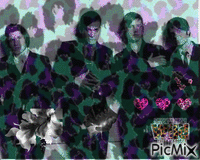 interpol with leopard print and flowers animovaný GIF