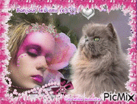 HD femme Endormie et chat
