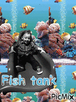 fish tank κινούμενο GIF