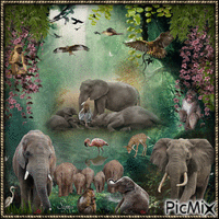 Elephants - GIF animado gratis