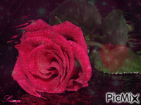 Romantica - GIF animado gratis
