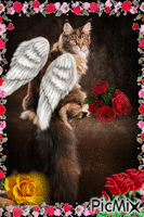 cat angel - Безплатен анимиран GIF