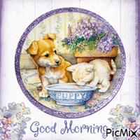 Good morning, doggy, kitten - GIF animasi gratis