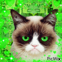 Green Grumpy Cat