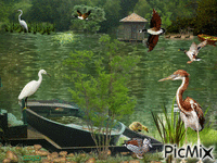 lac - Ilmainen animoitu GIF