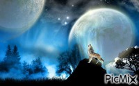 wolves blue - Δωρεάν κινούμενο GIF