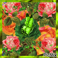 orange, pink, and green flowers agreen frame. - Gratis animeret GIF
