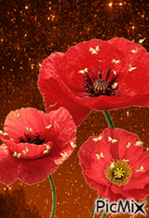 rosa - Bezmaksas animēts GIF