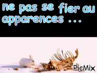 apparence trompeuse - Free animated GIF