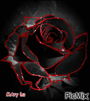 Black & red rose - Free animated GIF