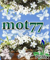 mot77 - GIF animé gratuit