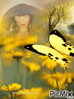 бабочка - Безплатен анимиран GIF