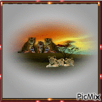 tigers animovaný GIF