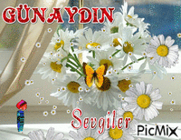 GÜNAYDIN - Бесплатный анимированный гифка