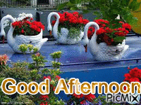Good Afternoon - Bezmaksas animēts GIF