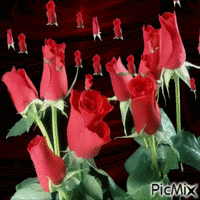 Vörös rózsa. - Darmowy animowany GIF