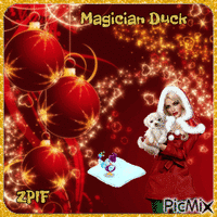 Magician Duck