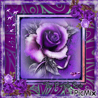 Purple roses - GIF animate gratis