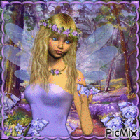 Fairy Bluebell