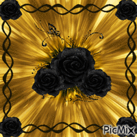 Black&Gold - 無料のアニメーション GIF