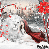 ☆☆WINTER RED☆☆ анимирани ГИФ