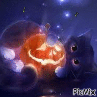 Chatons d'Halloween - GIF animado gratis