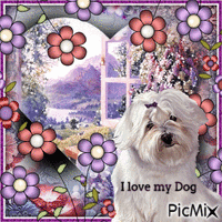 I love my Dog-RM-04-09-23