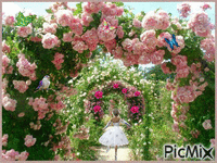 roseraie - Darmowy animowany GIF