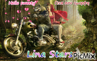 lina stars - 免费动画 GIF