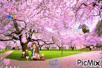 Cherry Blossom - Animovaný GIF zadarmo
