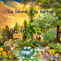 CONCOURS : ''Le lièvre et la tortue''