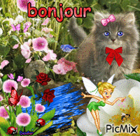 chat bonjour анимированный гифка