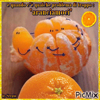arancia - Ilmainen animoitu GIF