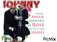 JOHNNY HALLYDAY animerad GIF
