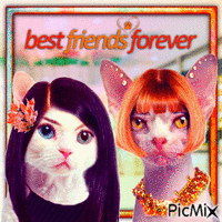 Best Friends 4ever animált GIF
