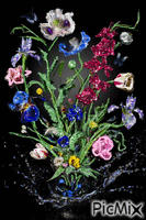 kvety animowany gif