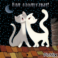 Have a lovely night! - Kostenlose animierte GIFs