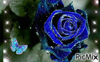 Rosa Azul - GIF animate gratis