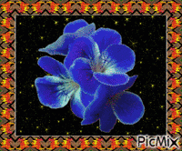 virág keretben - Бесплатный анимированный гифка