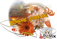 Coucher de soleil § Fleurs / Etoiles - Bonne soirée. анимированный гифка