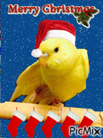 MerryChristmas - GIF animé gratuit