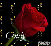 CINDY - Darmowy animowany GIF