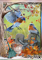 Les oiseaux en automne - GIF animé gratuit